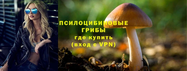 mdpv Алексеевка