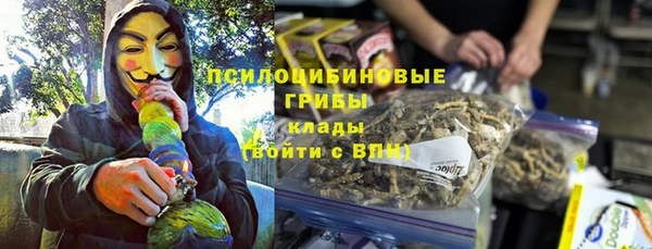 2c-b Алзамай
