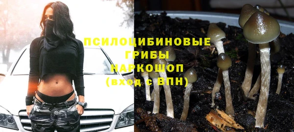 стафф Алексин