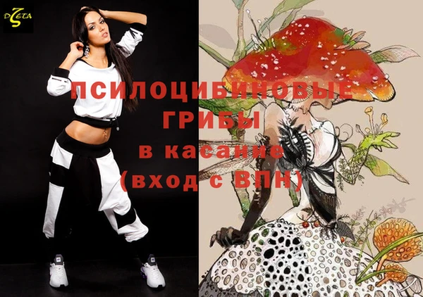 2c-b Алзамай