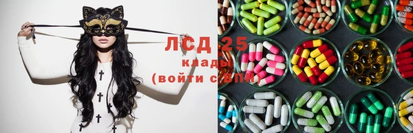 гидра Абаза