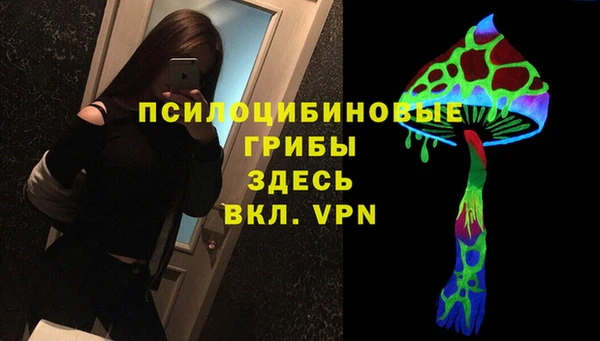стафф Алексин
