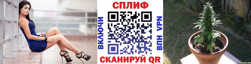 Бошки марихуана VHQ Райчихинск